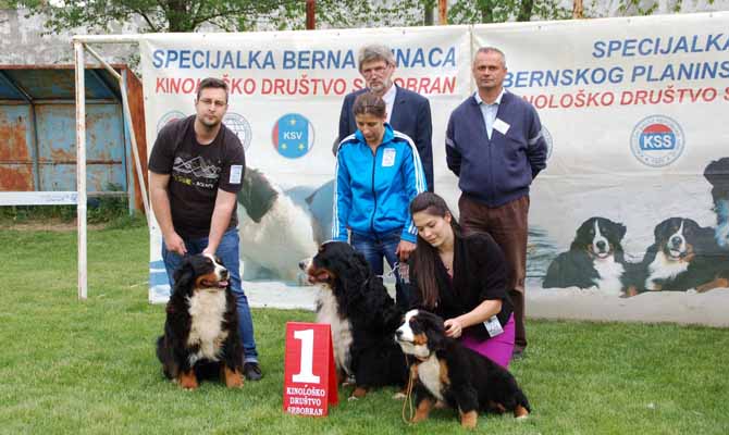 Kutyakiállítás volt Szenttamáson 2016. május 6-7. képek